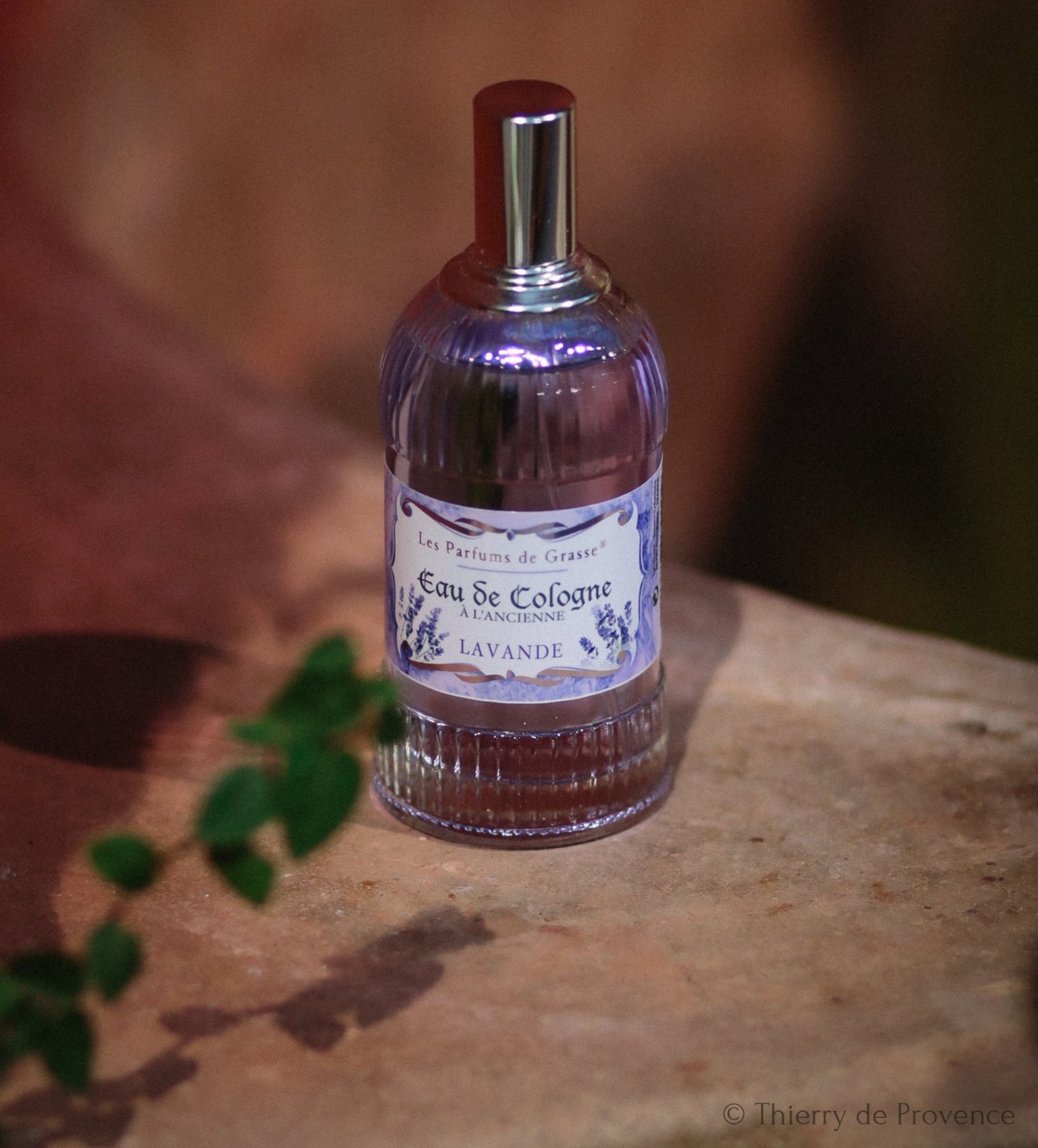 Thierry de Provence laventeli eau de cologne unisex hajuvesi miehille ja naisille